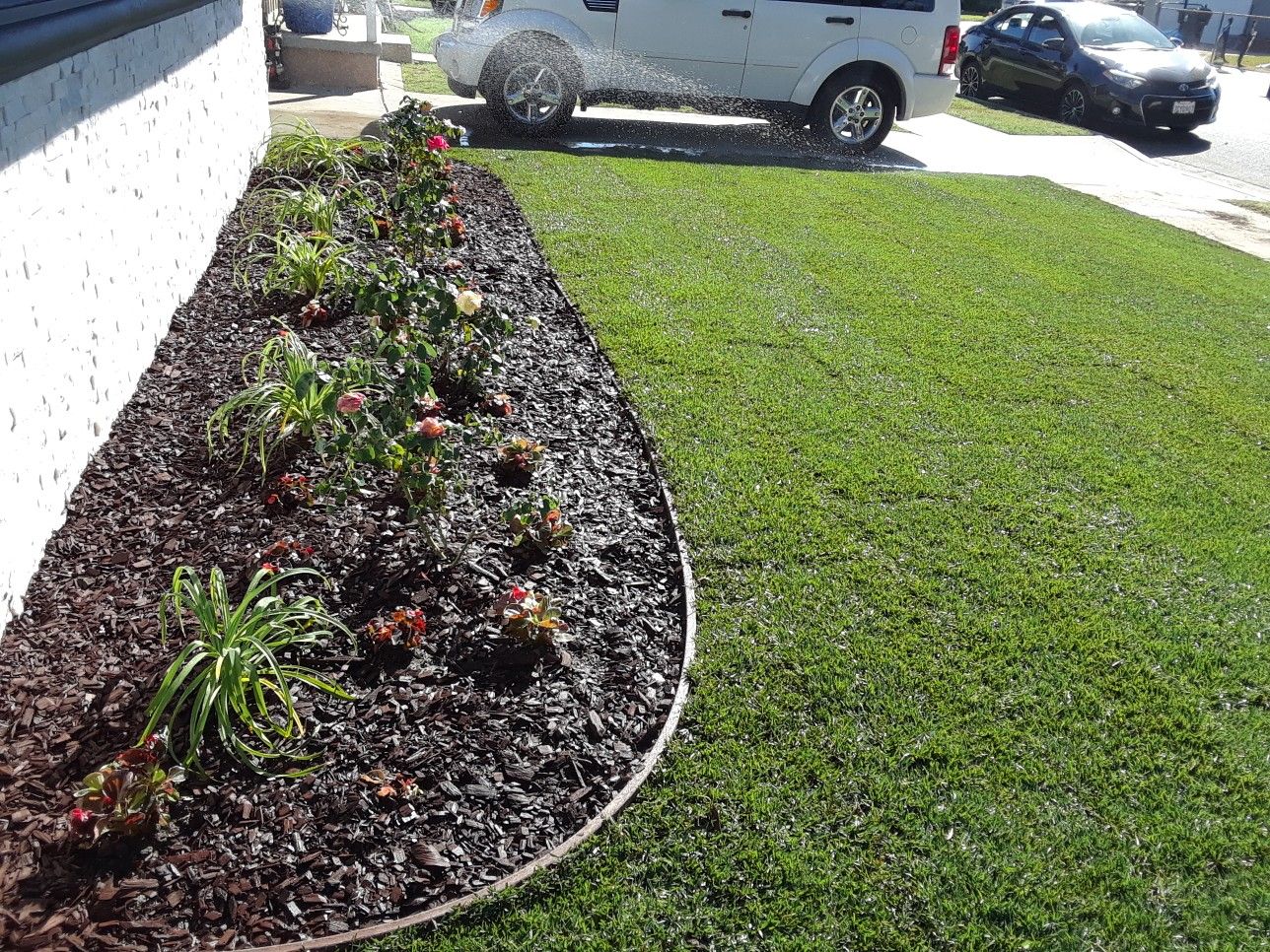 Marathon, st Augustine sod