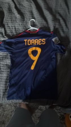 Fernando torres 2010 final jersey (M)