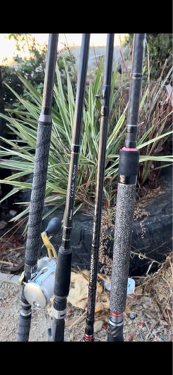 Fishing rod