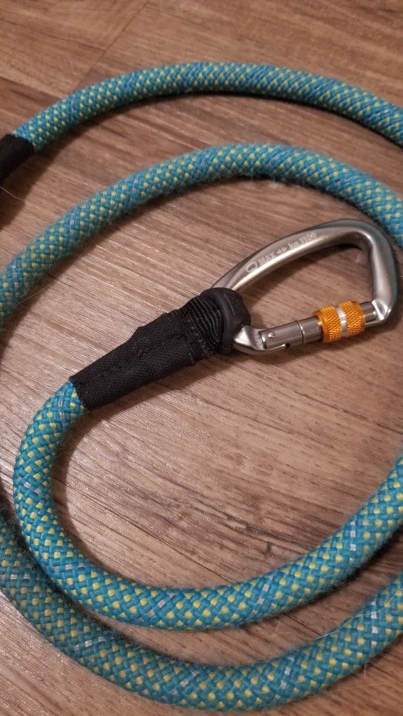 Dog Leash