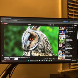 Dell 27” FHD 240hz Gaming Monitor
