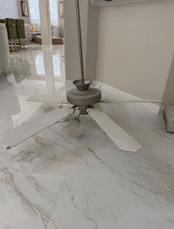 Ceiling Fan