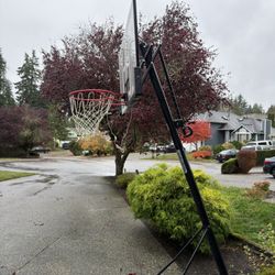 Free Basketball Hoop