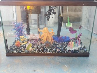 29 gallon complete setup