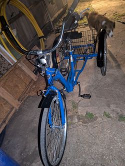 Alameda trike bike!