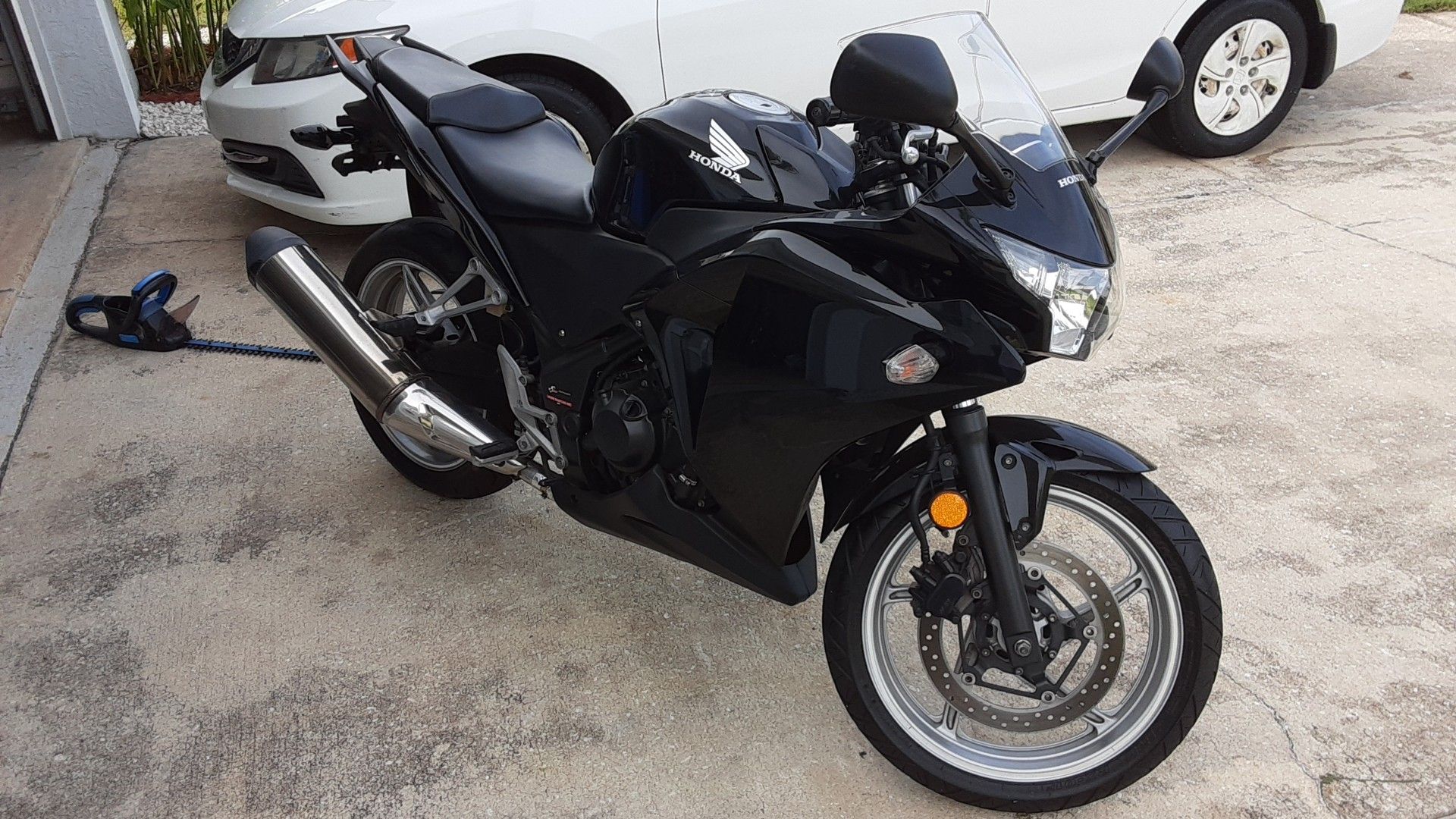  If Avaiable. All Info Is Listed Or In Pic...No zeyt rides til cash in my hands., last one almost died,  said knew how to ride.  