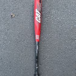 Marucci Cat Composite USSSA Bat 29” 19 -10 $50