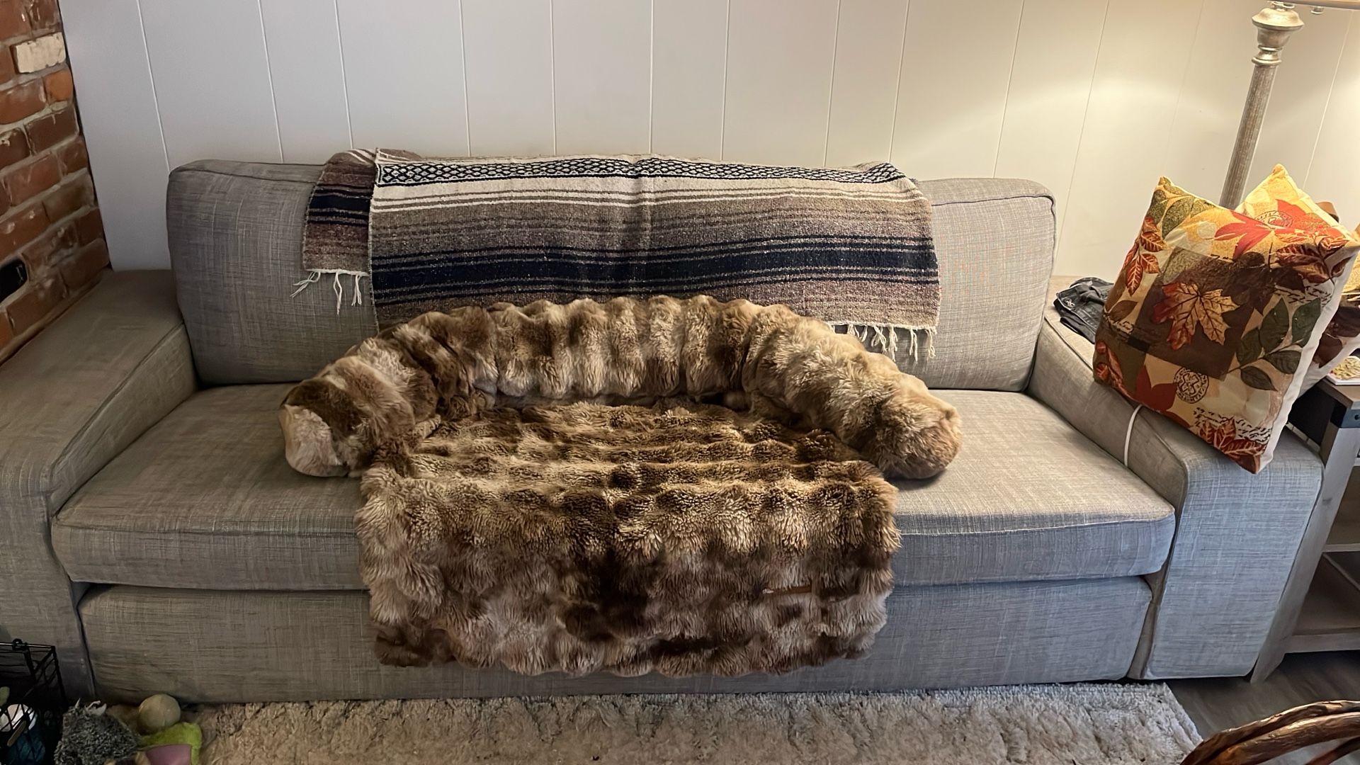 Pelsbarn Fuzzy Dog Blanket Bed