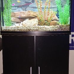 36 Gallon Freshwater Tank