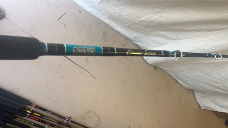 Seeker Classic Series BSC 6465-6 Rod