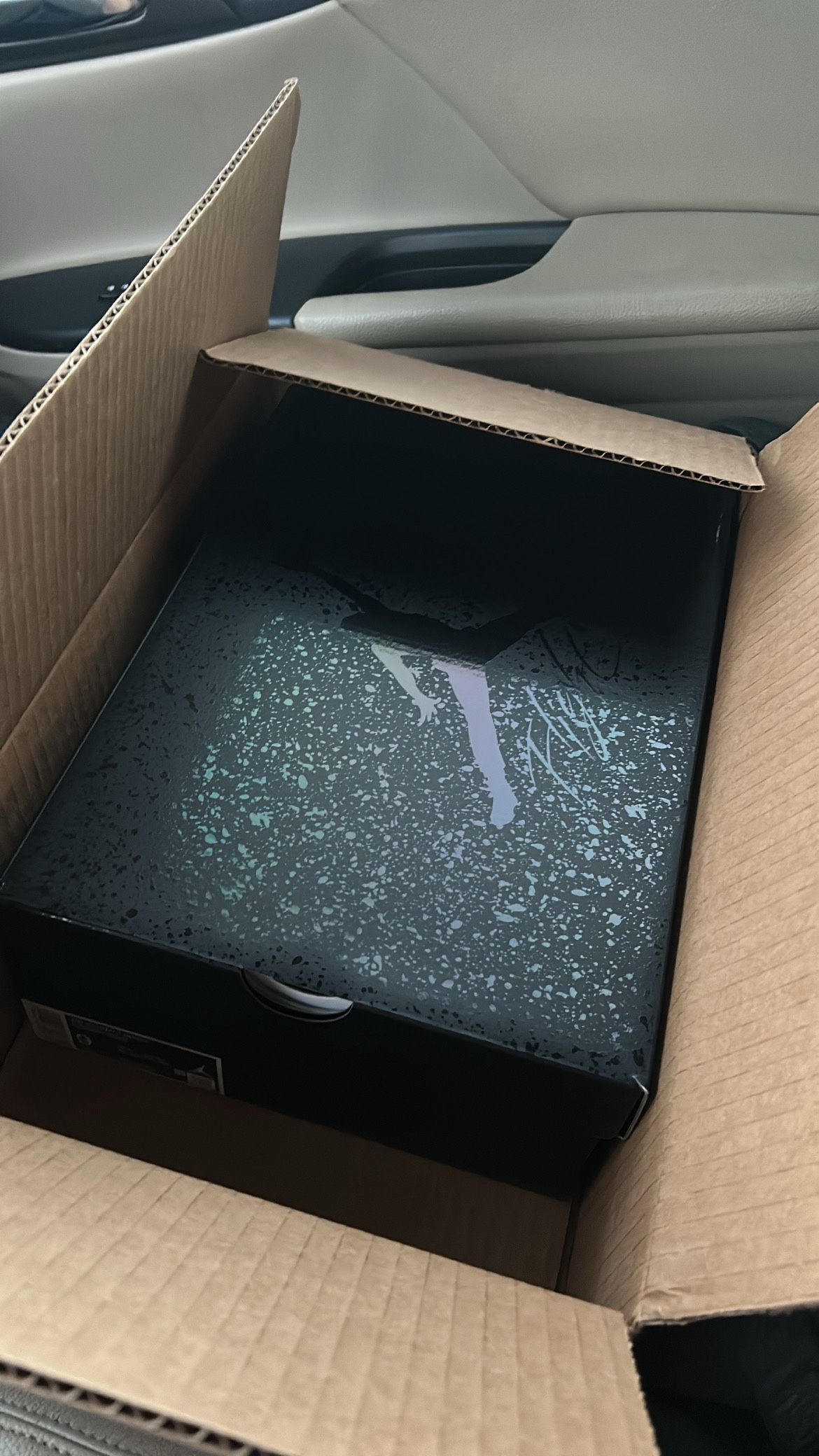 Black Cats Jordan 4s