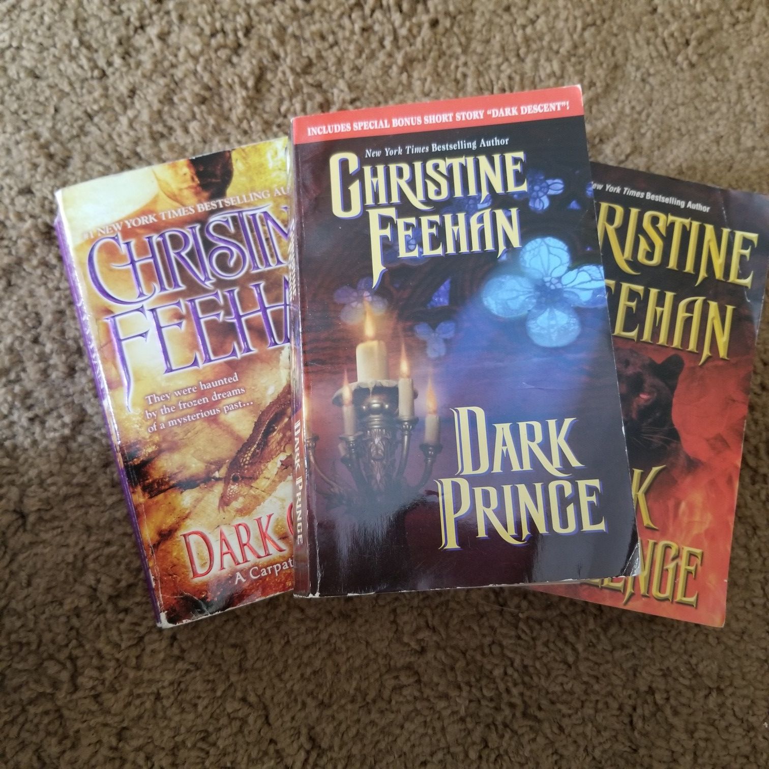 19 Christine Feehan Books