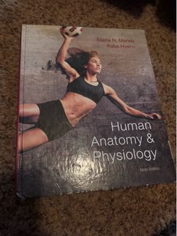 Human Anatomy & Physiology