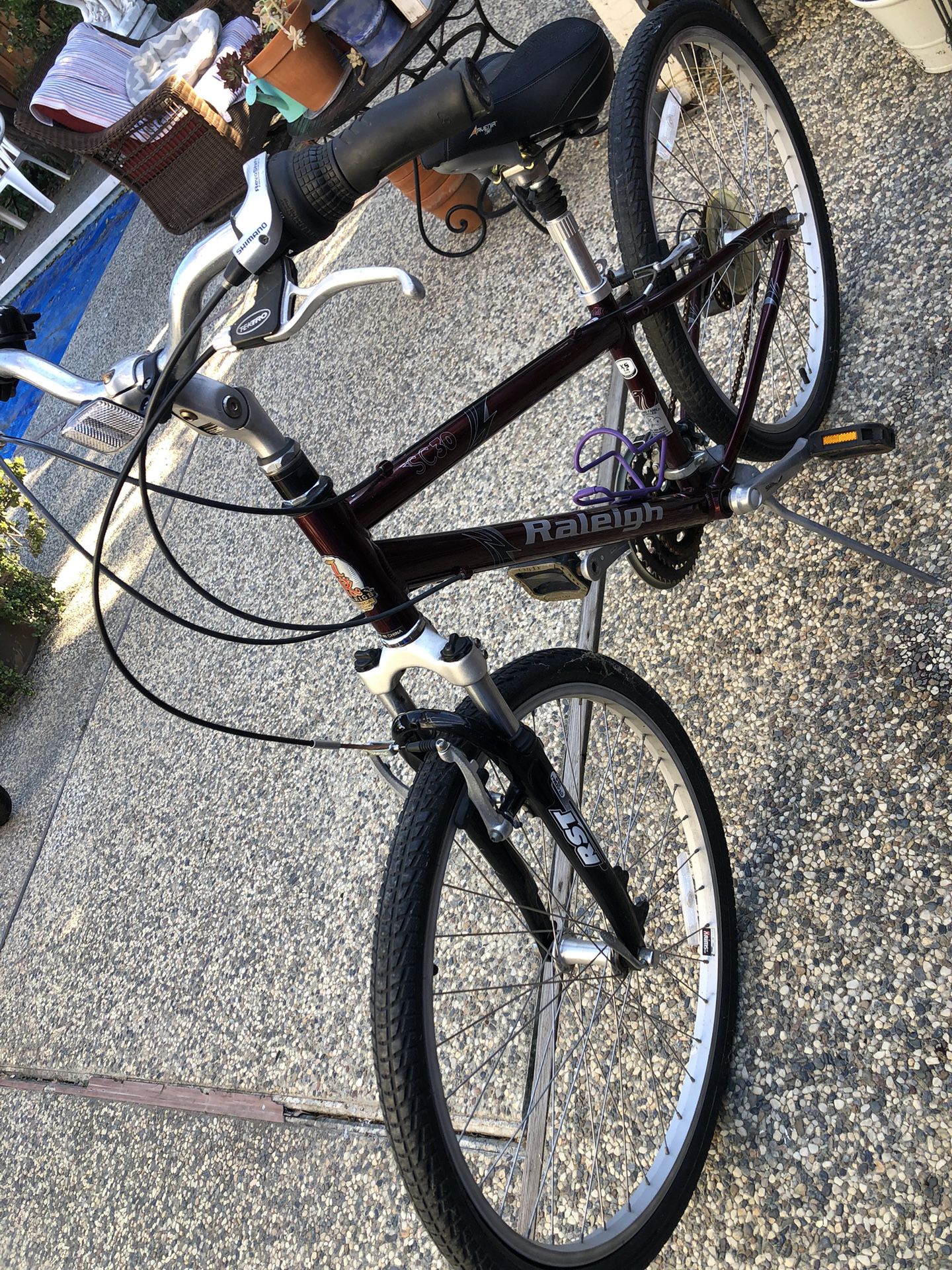 Raleigh’s Female Bicycle 