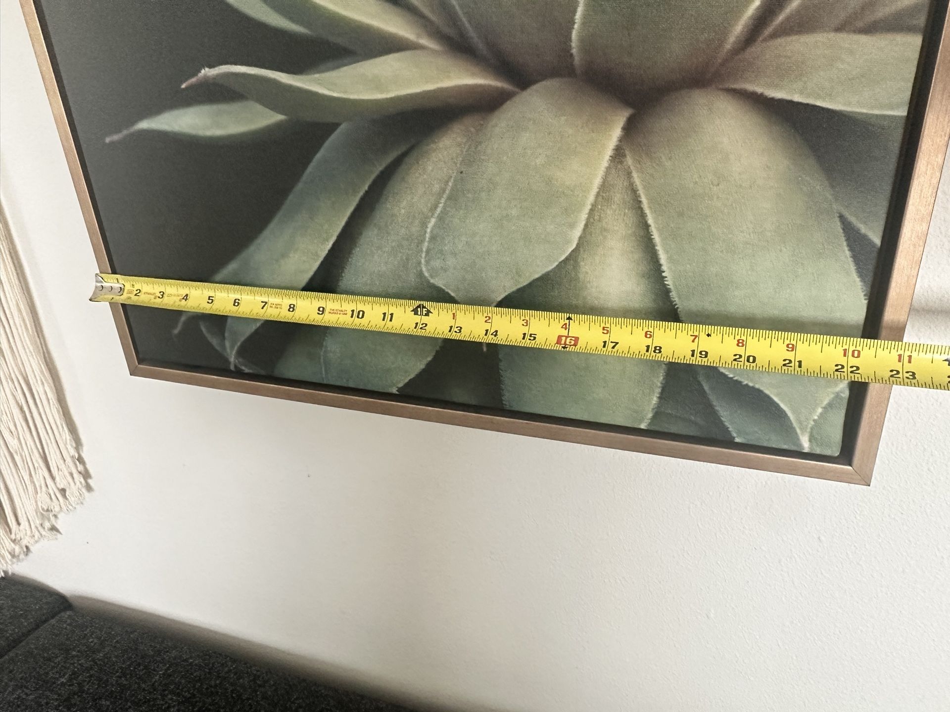 Succulent Art With Brass/Gold frame