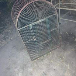 Solid Bird Cage