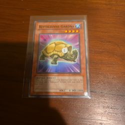 Reptilianne Gardna ABPF-EN016