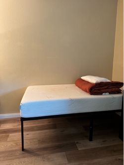 Amazon Basics Metal Twin Bed Frame