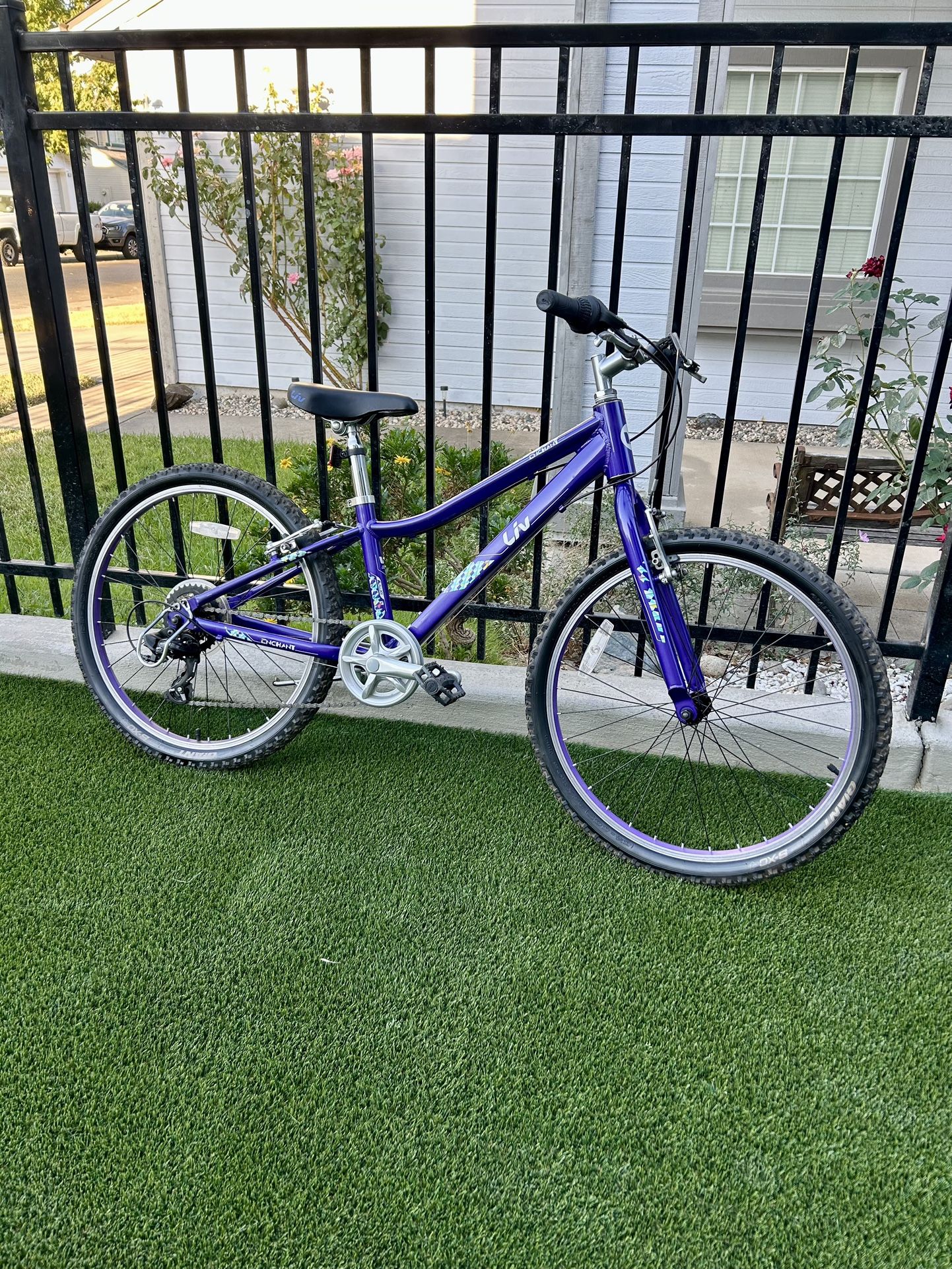 LIV ENCHANT YOUTH MOUNTAIN BIKE 24” Wheels 