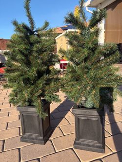 Pair of Artificial Pine Trees in Planters