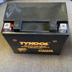 YTX14AH-BS - Sealed Agm Battery
