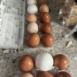 $10X24 Organic Fresh Egg  &   $8 Each Baby Chicks   Willing To Deliver Minimum $20 Purchases 