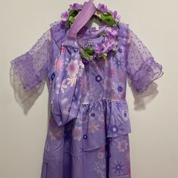 Isabella Encanto Costume