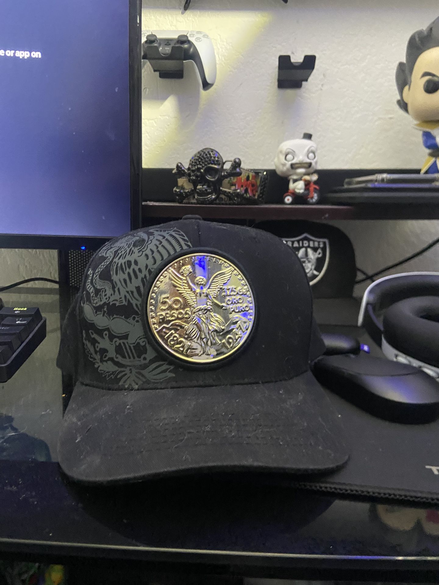 Centennial Snap Back Hat