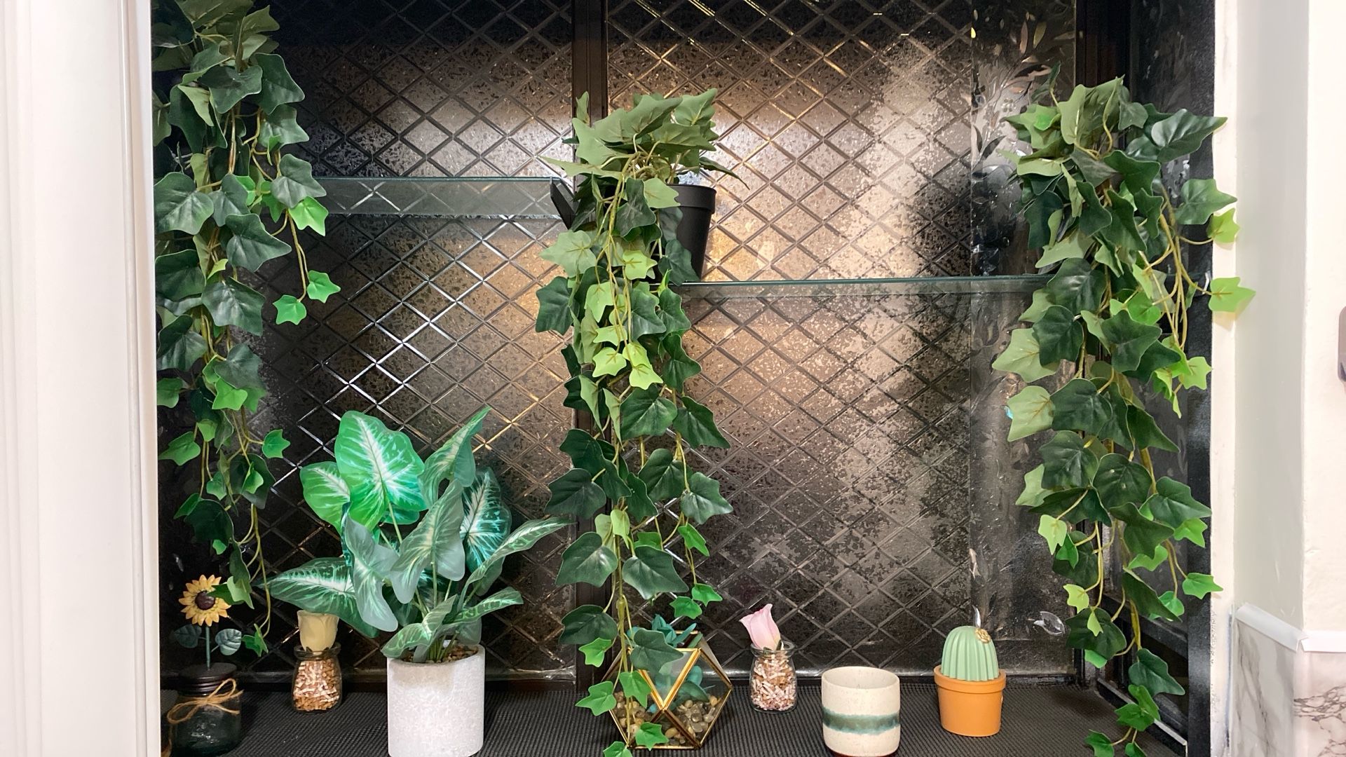 Plants Decor - all 8+ Plant Decor Items Included.