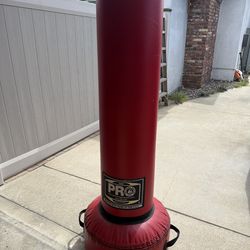 ProBoxing Bounce Back Punching Bag