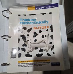 Thinking Mathematically