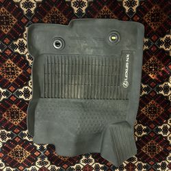 Lexus Nx floor Mats