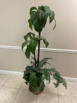 Artificial Plant
