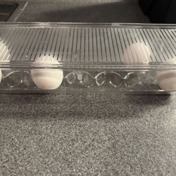 EGG CONTAINER (NEW)