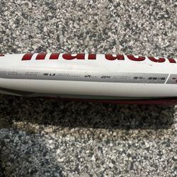 2023 Marucci 28 Inch Drop 10 CatX Alloy