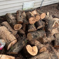 Firewood Logs 