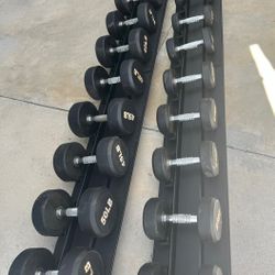 Commercial Pro Dumbbell Set 5-50 lbs