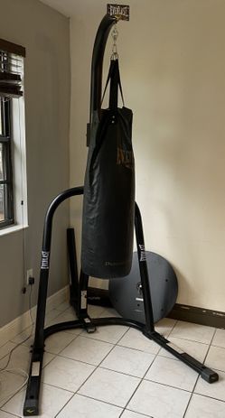 Everlast Punching Bag And Stand