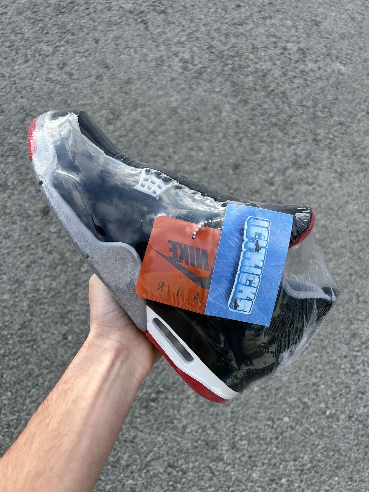 Jordan 4 Bred Size 11.5