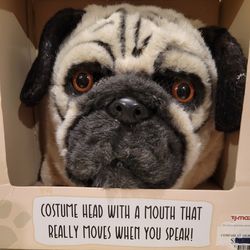 Mr. Pug mask.