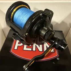 Penn Fathom 30LD2 “Two Speed” Conventional Saltwater Fishing Reel (Right Hand)