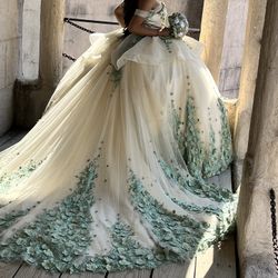 Quinceañera Dress 