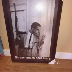 Framed Malcolm X Picture