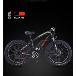 Electric Bike