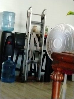 Appliance dolly