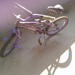 20 Inch Inspire Bmx Bicycle
