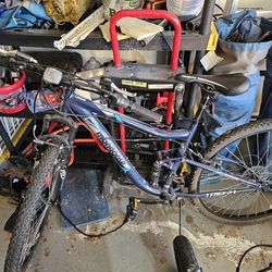 Mongoose Mountain Bike