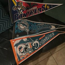 Panthers Dolphins Marlins Pennants