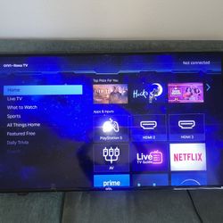 Roku Tv 