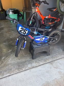 12in Stacyc